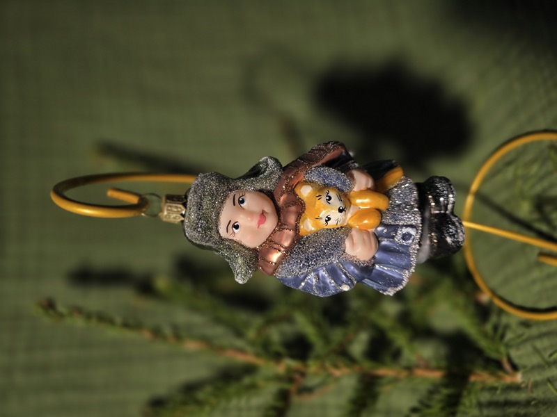 мальчик с лисичкой