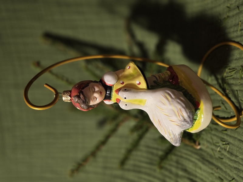 девочка с гусем