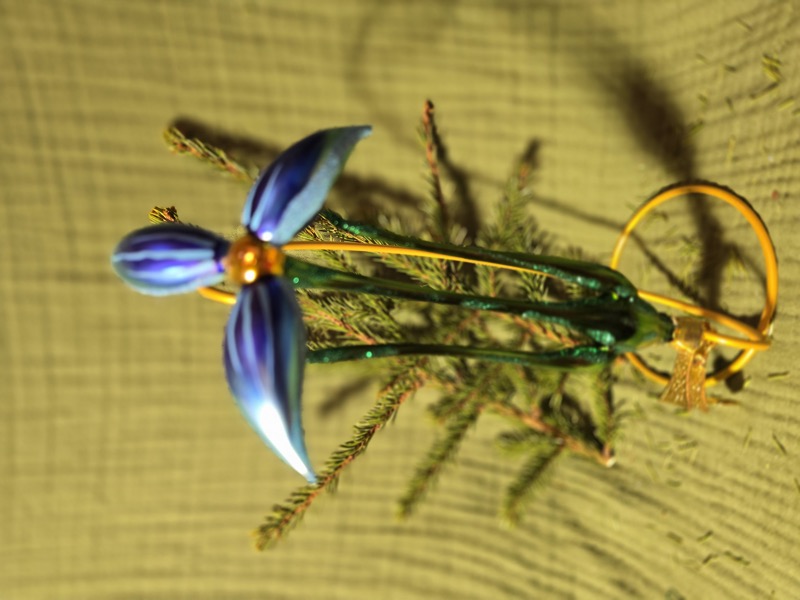 незабудка цветок