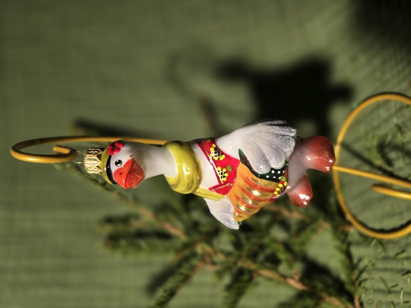 гусь мартин