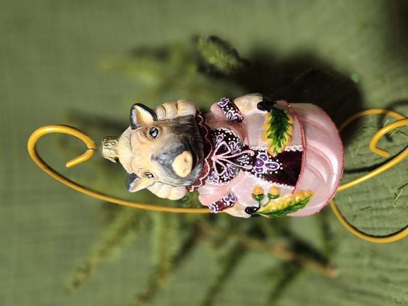 свинья (лесной бал)