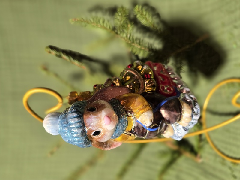 зайка с елкой