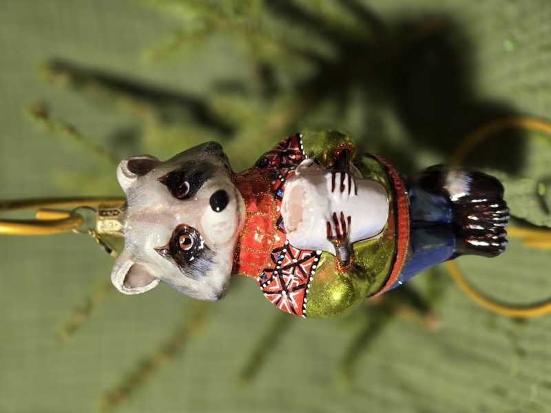 енот с кофе