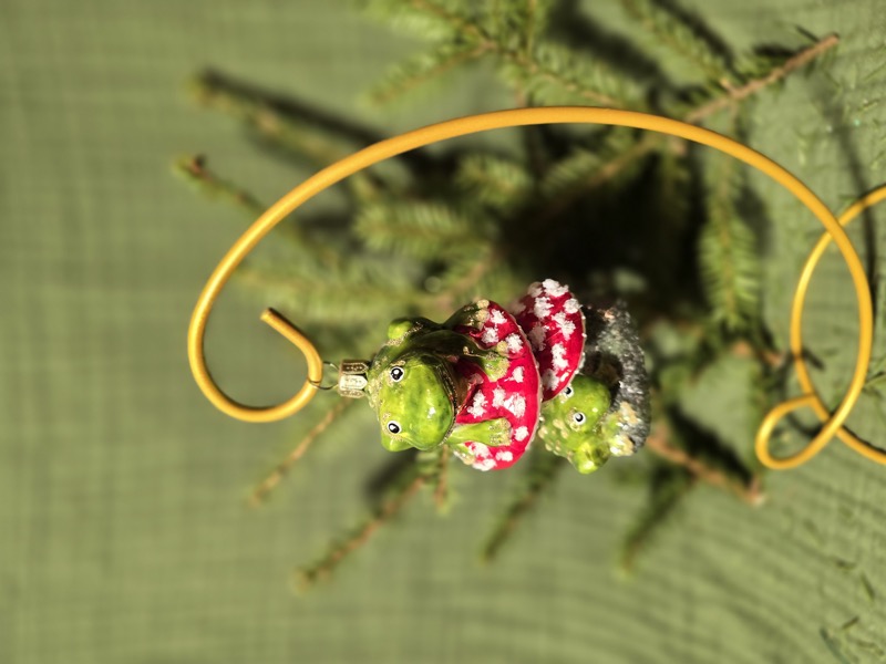 лягушки на мухоморе