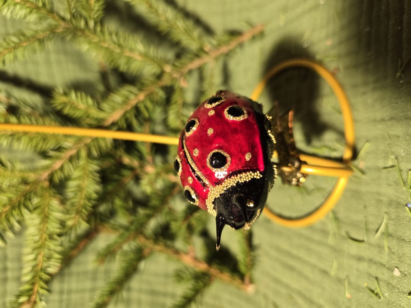 божья коровка
