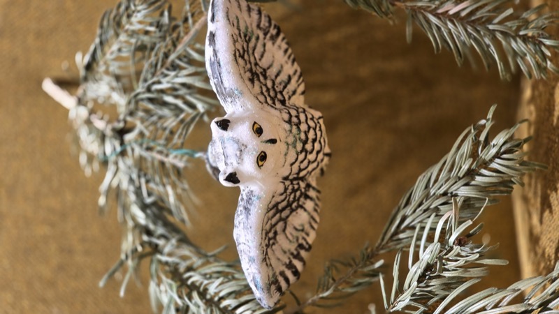 полярная сова