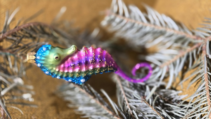 морской конек