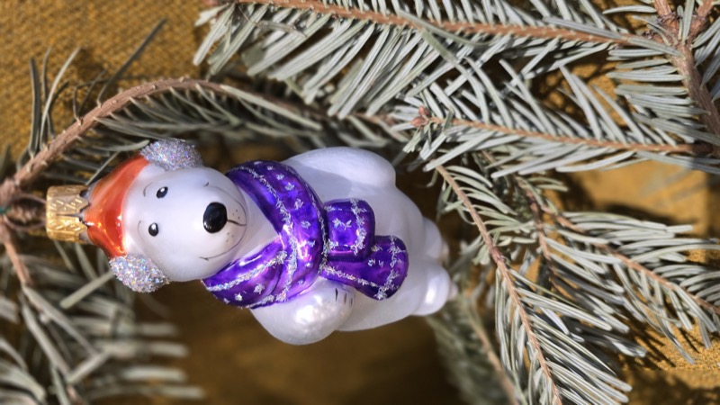 белый мишка