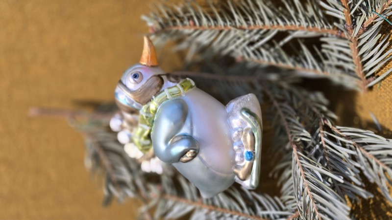 пингвин на лыжах