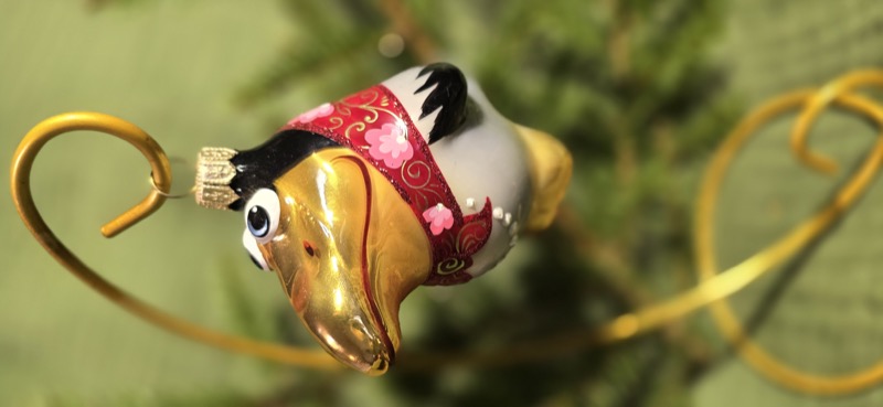 Ворона Клара (Кагги-карр)