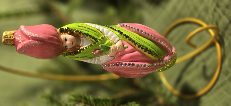 Фея тюльпан