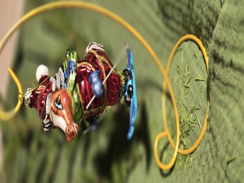 Лошадь на лыжах