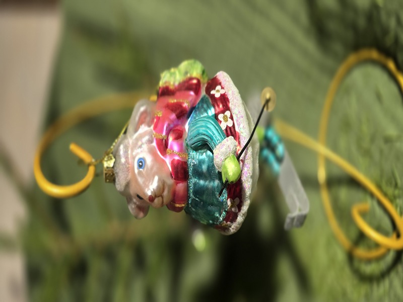 Овечка на лыжах