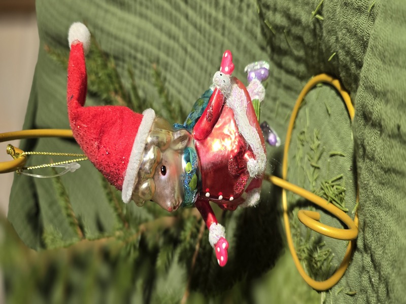 Овечка на коньках