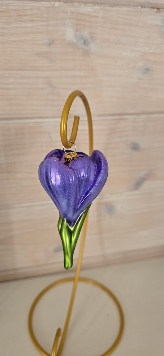 цветок крокус