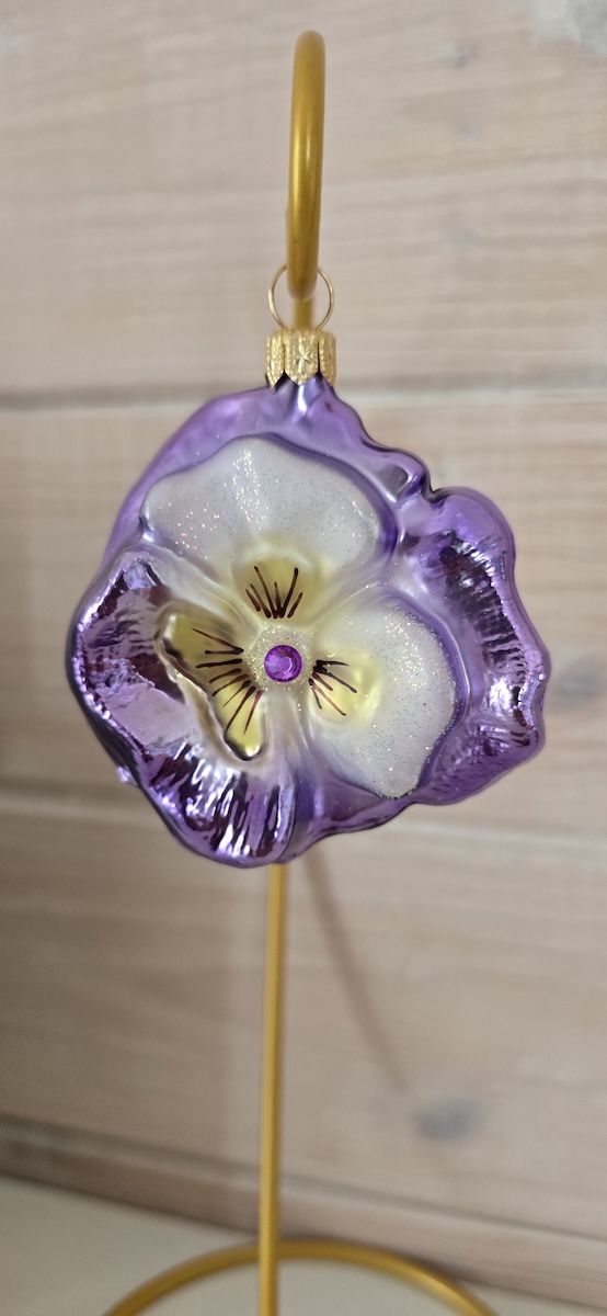 цветок виола