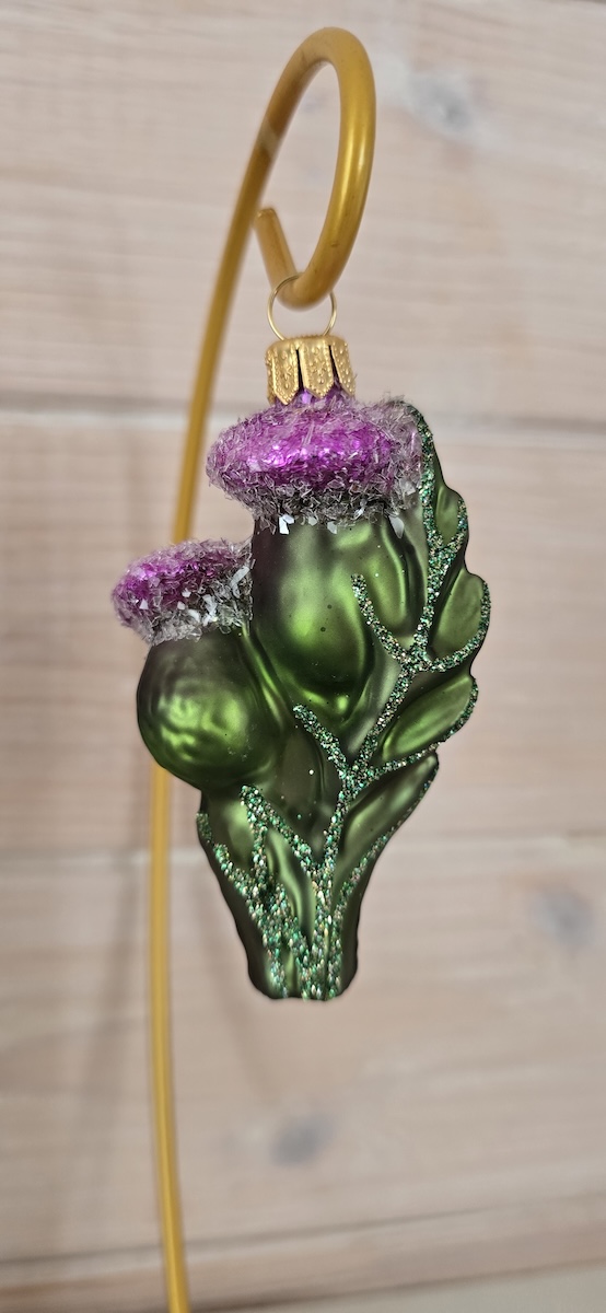 цветок чертополох