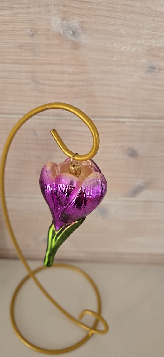 цветок крокус